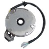 superstarterstoreee 125cc Stator ATV Dirt Bike for Sunl for Kazuma
