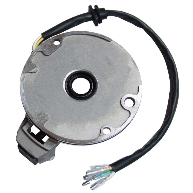 superstarterstoreee 125cc Stator ATV Dirt Bike for Sunl for Kazuma