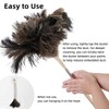 Feather Duster Extendable Handle，53In Telescopic Duster with 1 Ostrich Feather