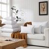 basic home 24x24 Euro Throw Pillow Inserts-Down Feather Pillow Inserts-Cotton