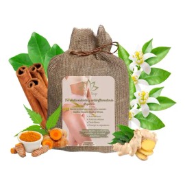 Té Orgánico Jengibre Cúrcuma Canela Vitality Shop 30 Sobres Digestión