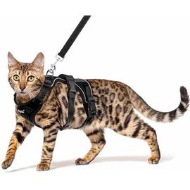 PUPTECK Juego De Arnés Y Correa para Gatos A Prueba De Escape para Caminar, Chaleco Mash Transpirable Arnés Ajustable para Gatos Cachorros Animales