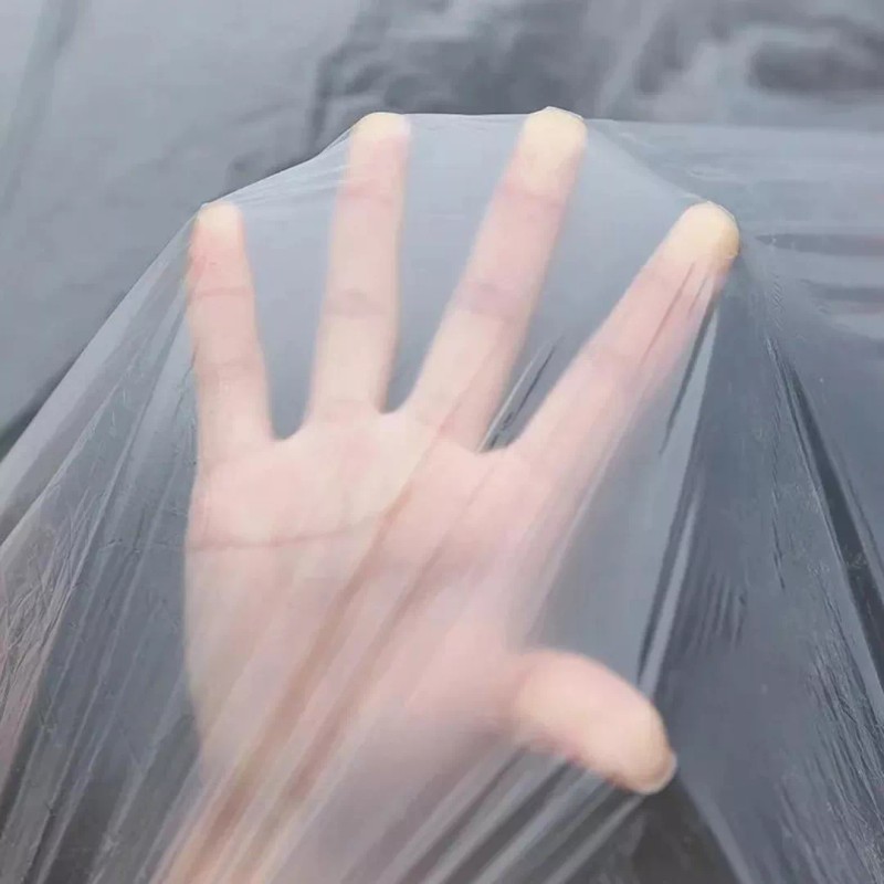 Estuchelandia Cubierta Desechable Carro Coche Sedan Plastico Transparente