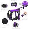 WINSEE Pet Harness Collar and Leash Set, All-in-one Reflective Dog