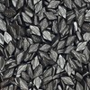 Fruidles Diamond Licorice Gummies, Slightly Salted Black Licorice (Half-Pound)