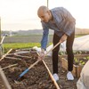 DOITOOL Hand Hoe Head Hoe Garden Tool Heavy Duty Agriculture
