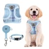 PUPTECK Adjustable Pet Harness Collar and Leash Set for Small