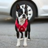 GF PET Travel Harness - Red - L