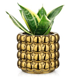 5 Inch Ceramic Planter Pot for Indoor Plants with Drainage Hole Bubble Flower Planter Hobnail Plant Pot Garden Planter Gold Succulent Plant Pot Utensil Holder