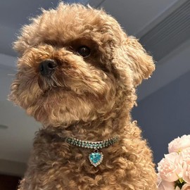 Rhinestone Pet Collar, Sparkling 3 Rows Crystal Diamond Dog Collars, Adjustable Rhinestones Wedding Collar, Puppy Girl Bling Necklace Pendant Jewelry for Small Medium Large Pets, Cats, Dogs(B-Blue,M)