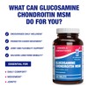 High Absorption Glucosamine Chondroitin MSM - Clinical Formula Bone Joint