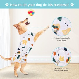 Comwish Recovery Suit for Dogs, Dog Surgery Recovery Suit with Zipper Closure Post Spay, Neuter, Abdominal Surgical Suit for Male Female Dogs Can Pee, Prevent Licking Dog Onesies, White Bear, XL