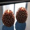 Eldnacele LED Pine Cone Candles Moving Wick, Battery Operated Flameless