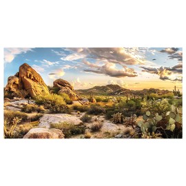 Dizifinn Reptile Habitat Background, Blue Sky Oasis Cactus Sun and Desert Terrarium Background with 6 EVA Double-Sided Tapes 36x18 inches/90x45