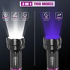 EverBrite LED Flashlight, Multifunctional Flashlight with UV and White Light,