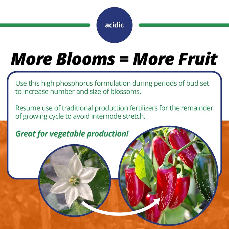 Jack's Classic 10-30-20 Blossom Booster Water-Soluble Fertilizer with Micronutrients for