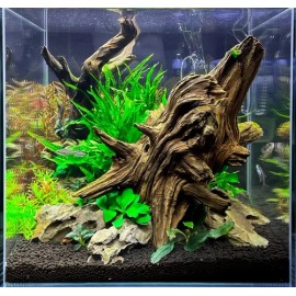 Suplemento Seachem Flourish para acuarios plantados, 500 ml