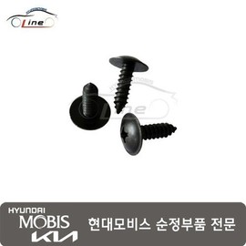 Hyundai Mobis Tapping Screw Flange Head 12493 05257B / 태핑 스크류 플랜지 헤드 12493 05257B