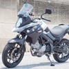 World Walk G2 Protection Tank Pad for V-Strom 650 (2017