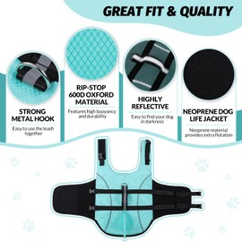 Queenmore Small Dog Shark Life Jacket, Puppy Dog Life Preserver for Swimming, Boating, Kayaking, High Buoyancy with Strong Rescue Handle and Reflective Light, Light Blue, M