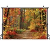 LYWYGG 7x5FT Autumn Scenery Backdrop Fall Backdrops Road Photography Backdrop Tree and Yellow Fall Leaves Background Studio Props CP-67