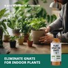 Kate's Home & Garden Plant Spray for Insects & Getting