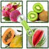 4 in 1 Fruit Tool Set Fruit Carving, Fruit Scoop