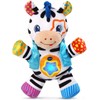 VTech Lights and Stripes Zebra