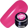PRE GEL COLOR EX FLASHBERRY 3g PG-CE905