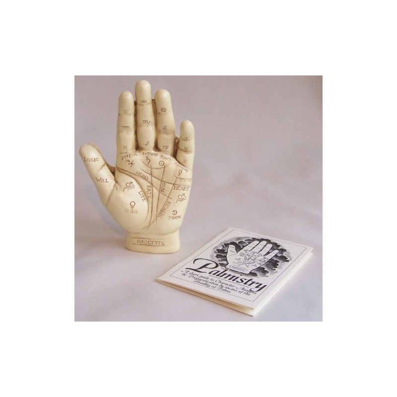 LARGE Palmistry Hand Ornament & Palm Reading Instructional Booklet
