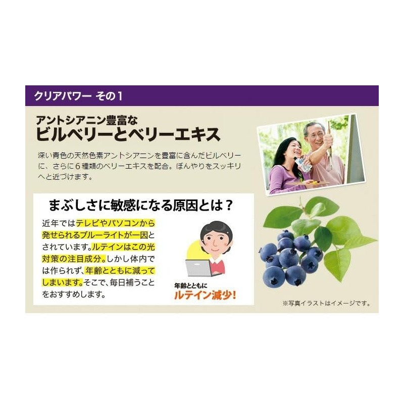 エバーライフ ブルーベリー ＋ ルテイン 30粒 (約1ヶ月分) サプリメント