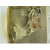 Silvestri Vintage Silvestri Glass Hummingbird w/ Flower Christmas Tree Ornament