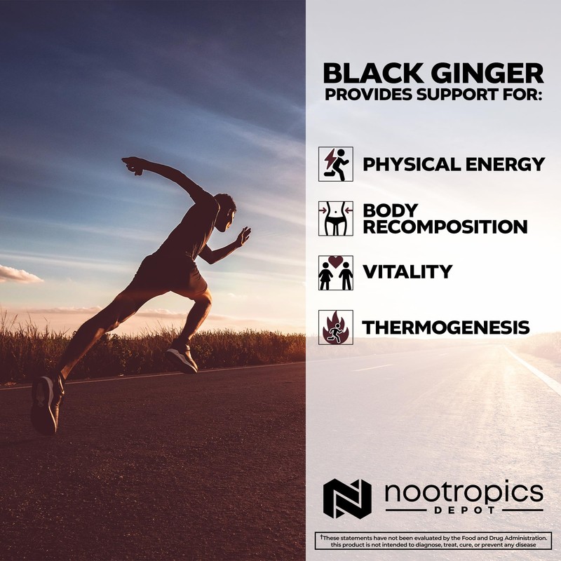 Nootropics Depot Black Ginger Extract Capsules | 10% 5,7-dimethoxyflavone |