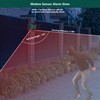 Comboss Solar Motion Sensor Alarm with ultrasonic, Motion Sensor Dog