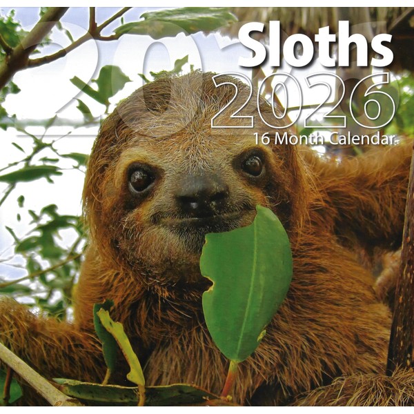 2026 Sloths Full Size Wall Calendar for Planning, Scheduling, and