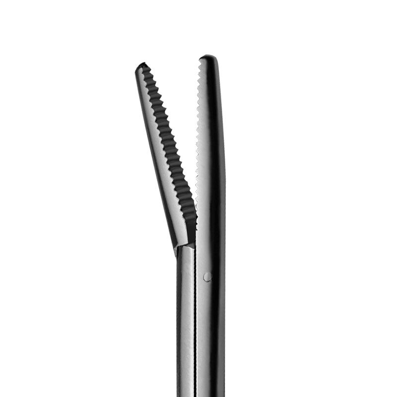 Alligator Forceps 3.5" Surgical Veterinary Instrument