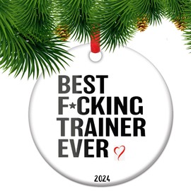 Personal Trainer Christmas Ornament, Personal Trainer Gift Idea, Fitness Gift, Workout Gifts, Ornament Gift for Personal Trainer, weightlifting