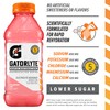 Gatorlyte Rapid Rehydration Electrolyte Drink, Strawberry Kiwi, Specialized Blend of