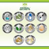 Herbal Secrets Suplemento De Senna | 500 Mg | 120