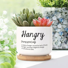 DecStic Hangry Definition Ceramic Planters Bible Verse Planters for Outdoor Plants with Drainage Holes and Saucers Pot for Succulents Cactus Garden Windowsill
