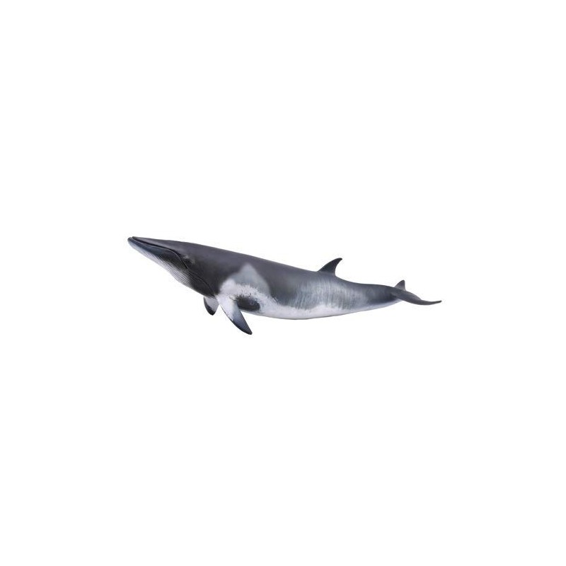 Collecta - Minke Whale (88862)