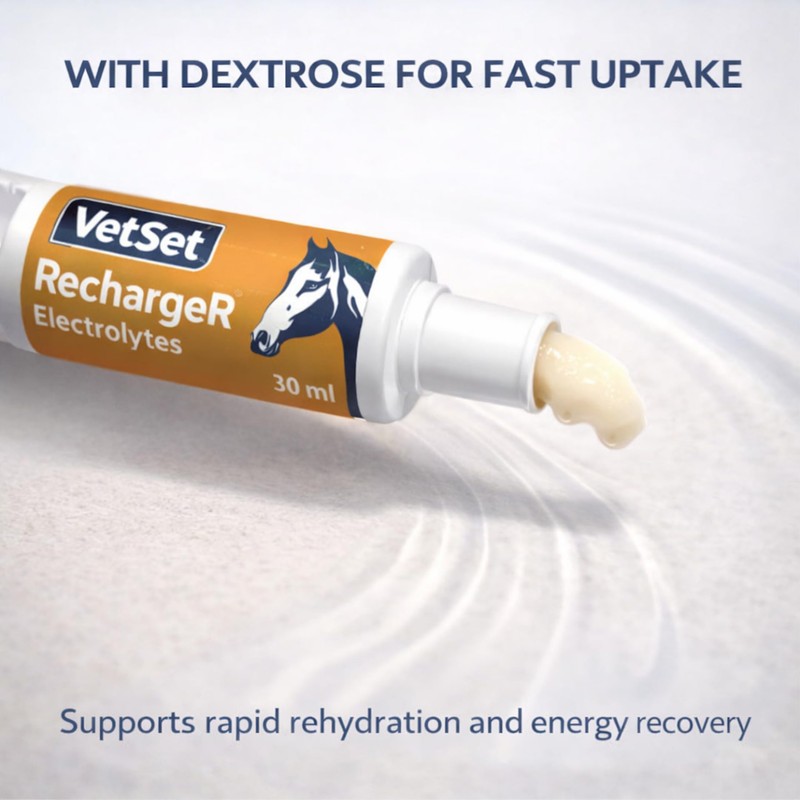 VetSet RechargeR Horse Electrolyte Paste 2 x 30ml Syringes
