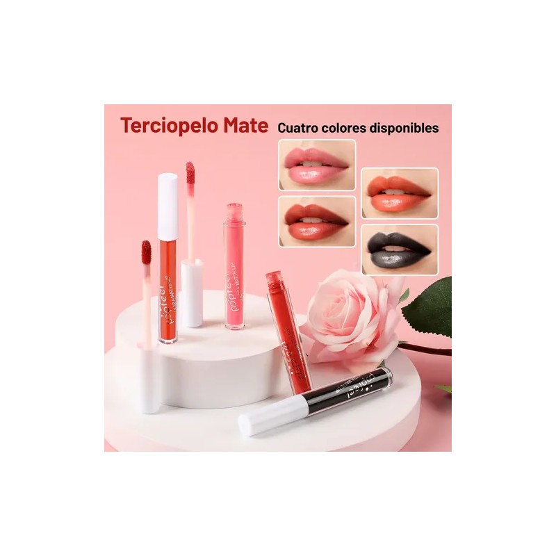 24kit De Maquillaje Profesional Completo-principiante Regalo