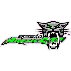 Team Arctic Cat Large 12" X 5.3" Decal