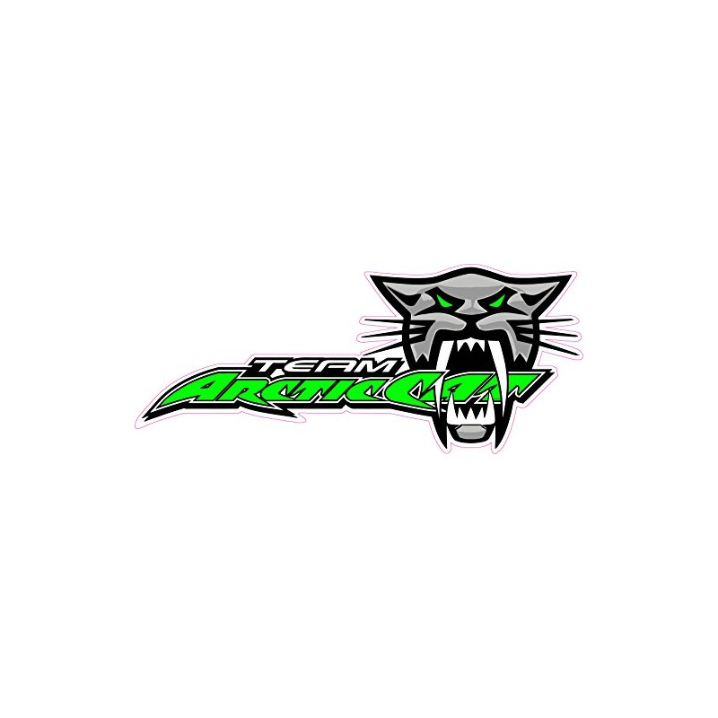 Team Arctic Cat Large 12" X 5.3" Decal