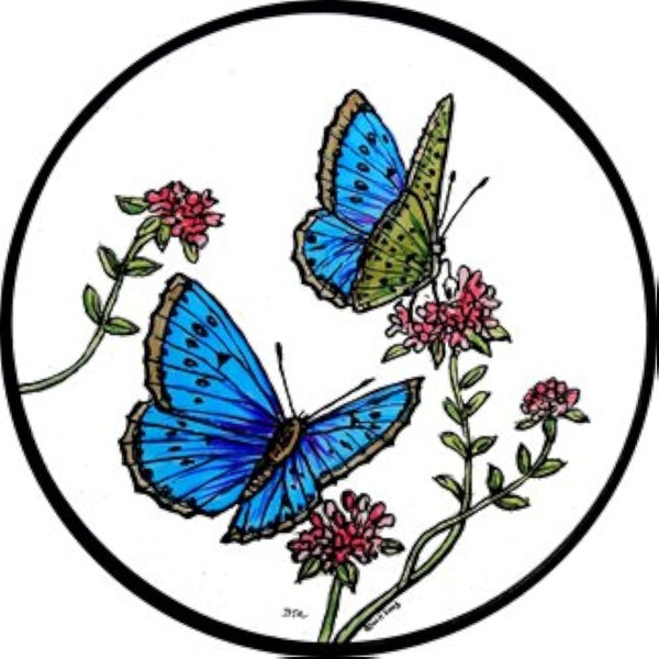 HENSITA Static Window Cling in a Blue Butterflies Design