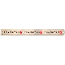 1 Decimal Foot Stainless Steel Ruler, Engineer Scale, 12 Inch Ruler, 30 cm Ruler