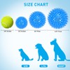 Novkin 6-Pack 2.5” LED Light-Up Squeaky Dog Toy Balls ，Durable