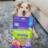 Outward Hound by Nina Ottosson Puzzle Bitez USA Made Dog