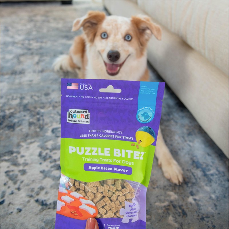 Outward Hound by Nina Ottosson Puzzle Bitez USA Made Dog